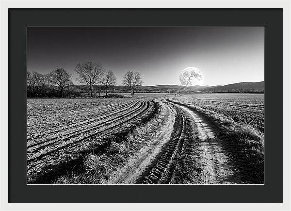 Harvest Moon Over Serene Fields