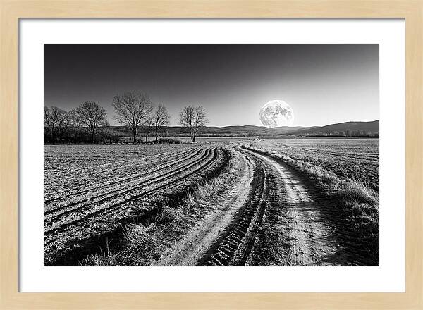 Harvest Moon Over Serene Fields