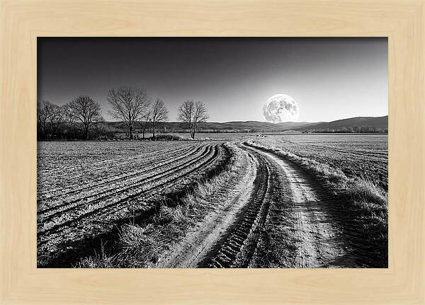 Harvest Moon Over Serene Fields