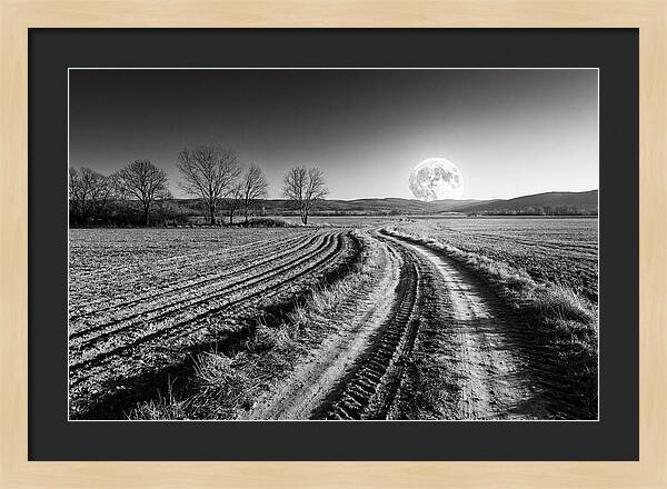 Harvest Moon Over Serene Fields