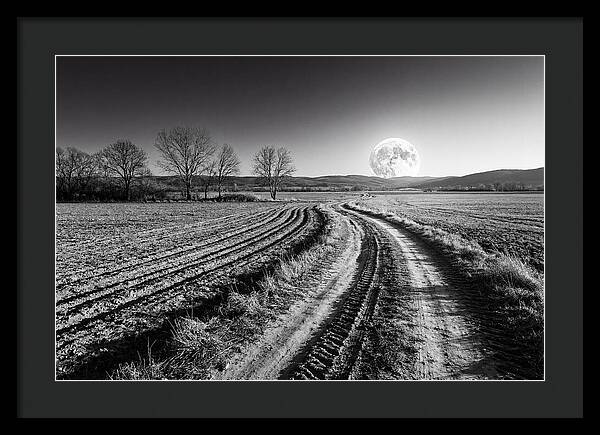 Harvest Moon Over Serene Fields
