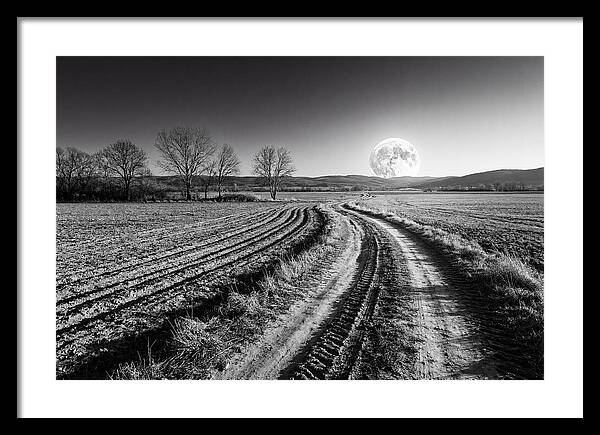 Harvest Moon Over Serene Fields