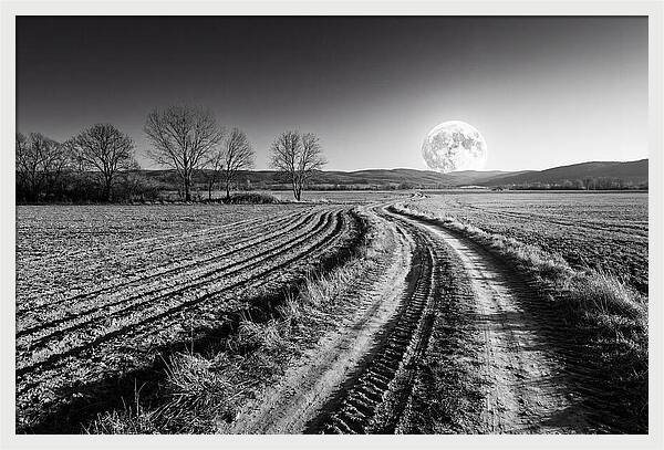 Harvest Moon Over Serene Fields
