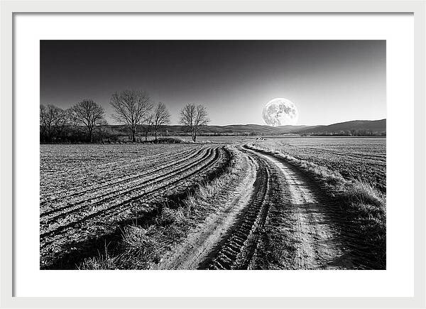 Harvest Moon Over Serene Fields