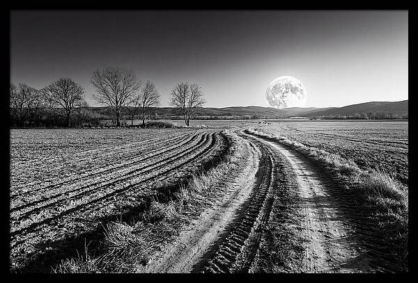 Harvest Moon Over Serene Fields