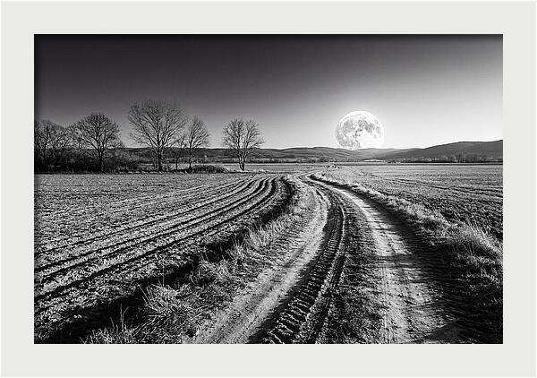 Harvest Moon Over Serene Fields
