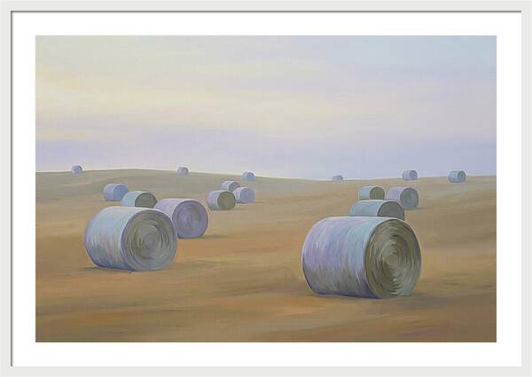 Harvested Fields At Dusk