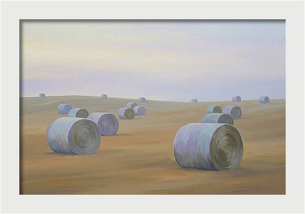 Harvested Fields At Dusk