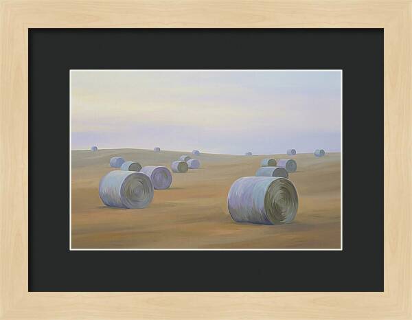 Harvested Fields At Dusk