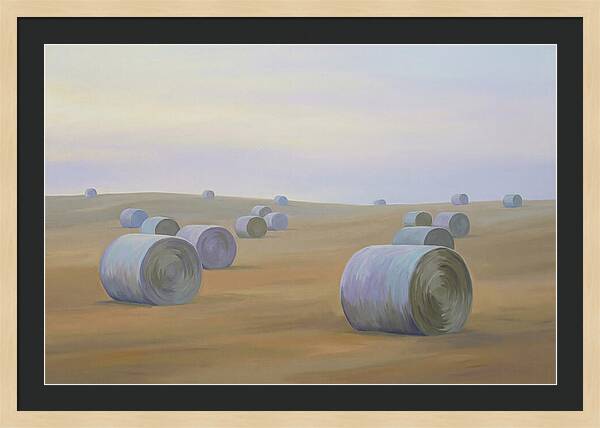 Harvested Fields At Dusk
