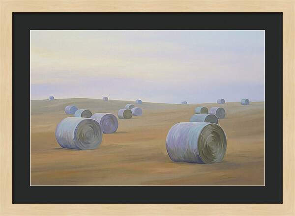 Harvested Fields At Dusk