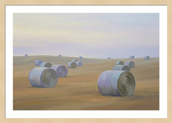 Harvested Fields At Dusk