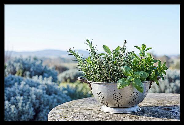 Harvested Garden Delights