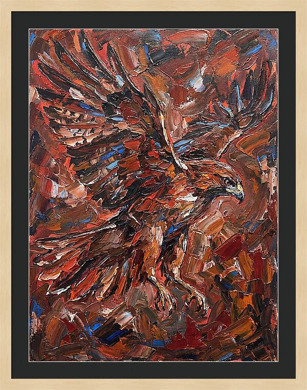 Hawk In Flight