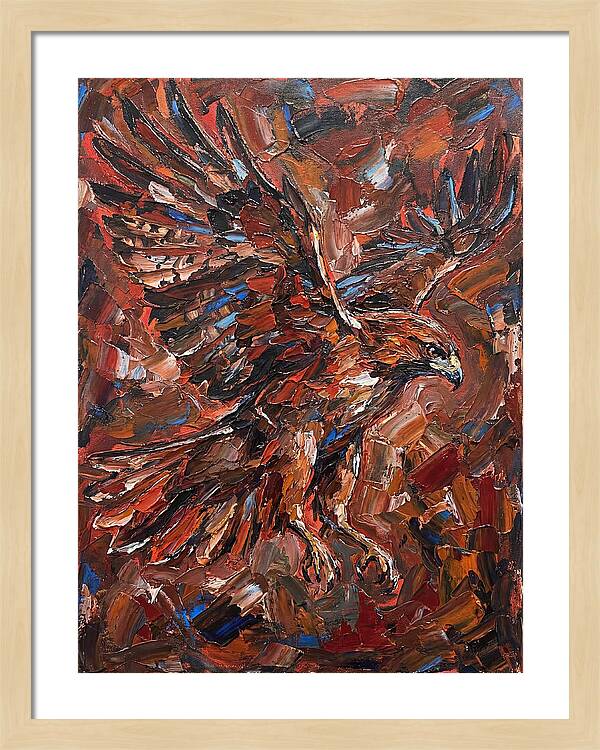 Hawk In Flight