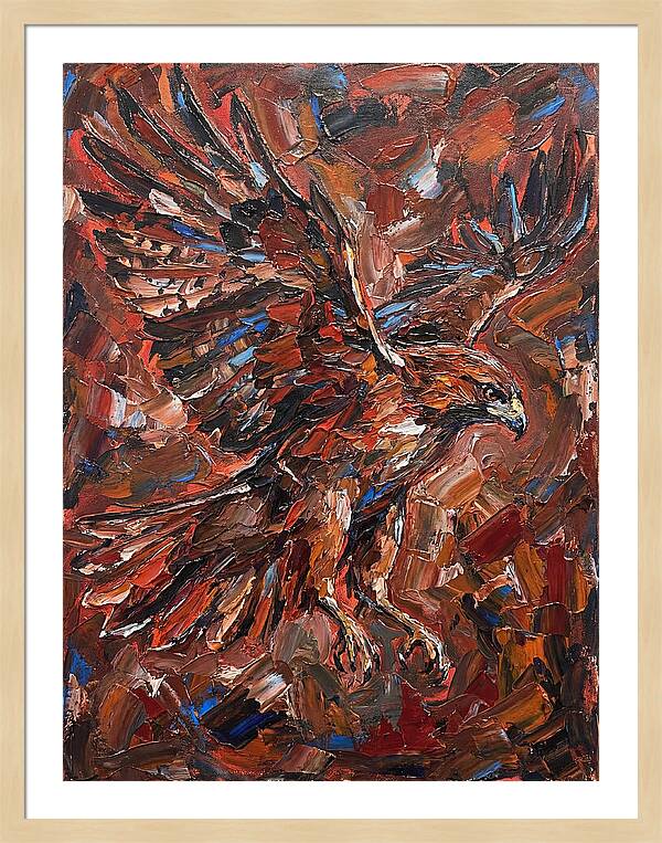 Hawk In Flight