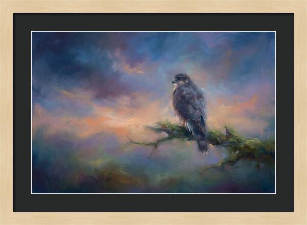 Hawk Perched At Dusk