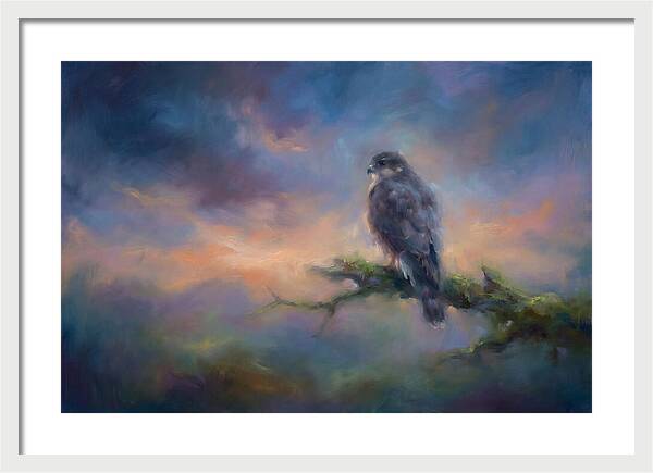 Hawk Perched At Dusk