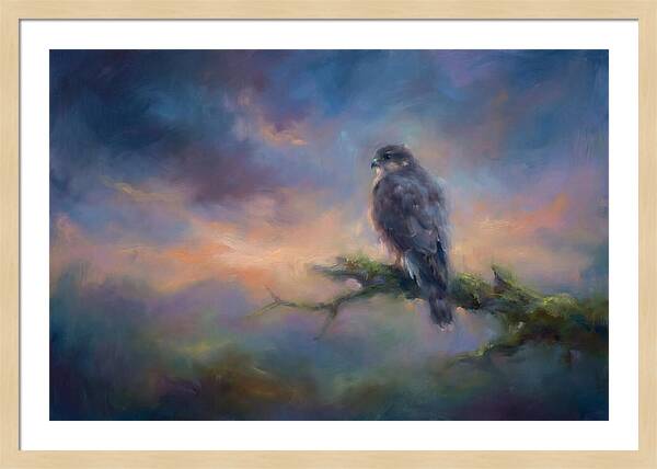 Hawk Perched At Dusk