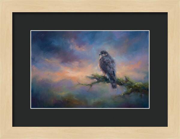 Hawk Perched At Dusk