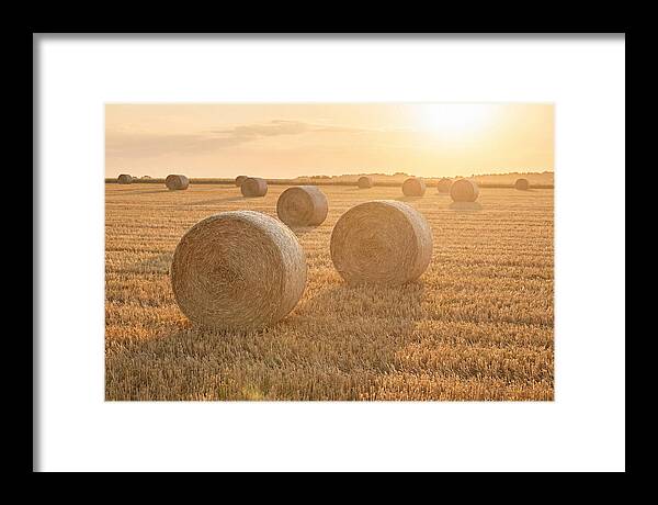 Hay Bales At Sunset