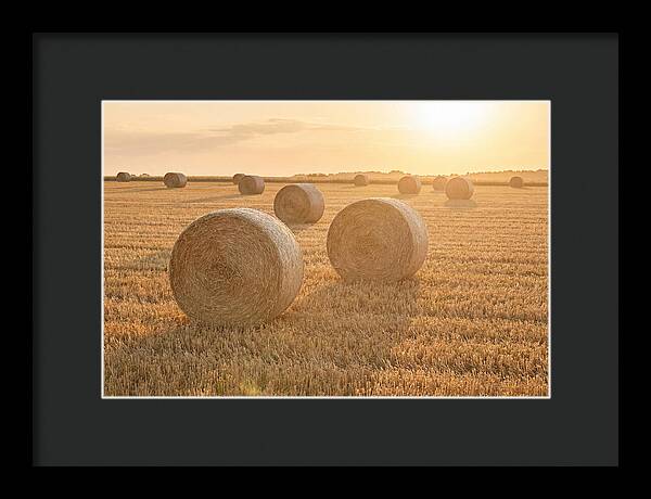 Hay Bales At Sunset