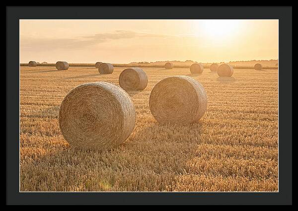 Hay Bales At Sunset