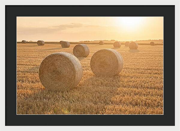 Hay Bales At Sunset