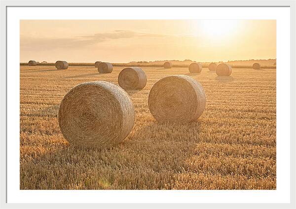 Hay Bales At Sunset