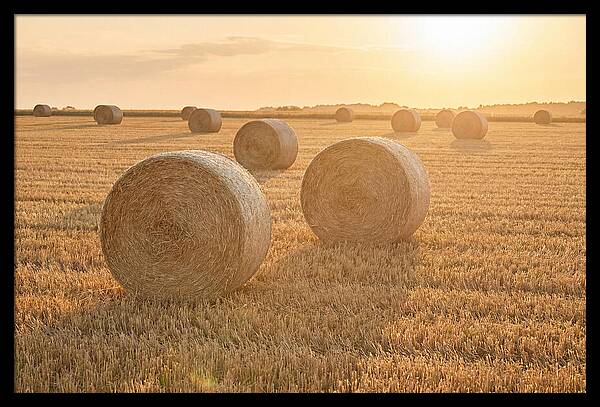 Hay Bales At Sunset