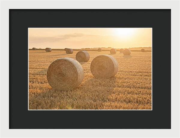 Hay Bales At Sunset
