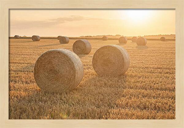 Hay Bales At Sunset