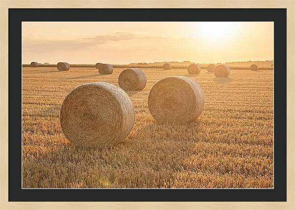 Hay Bales At Sunset