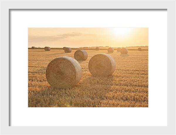 Hay Bales At Sunset