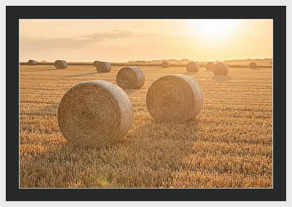 Hay Bales At Sunset