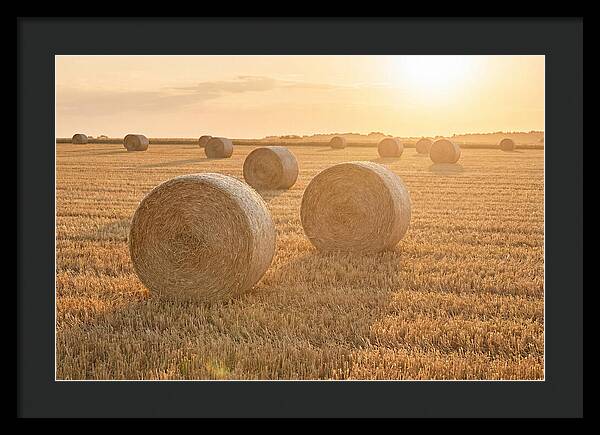 Hay Bales At Sunset