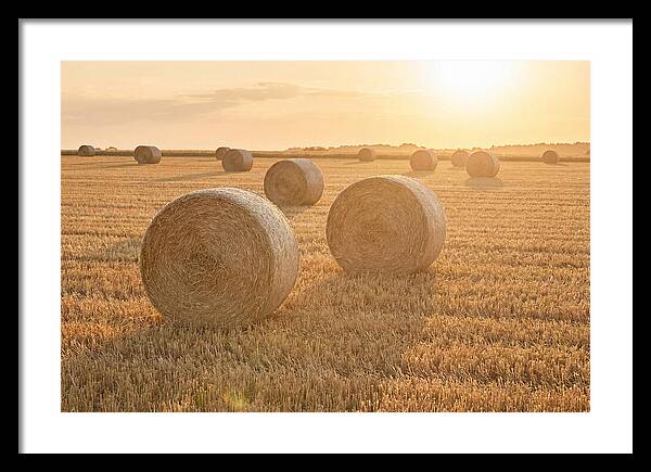 Hay Bales At Sunset