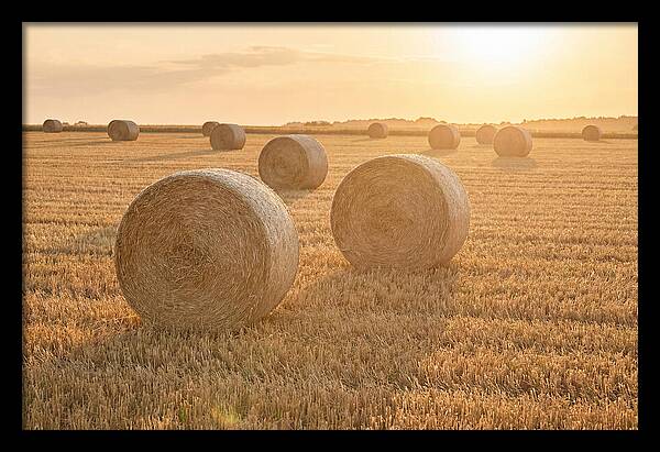 Hay Bales At Sunset