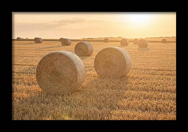 Hay Bales At Sunset