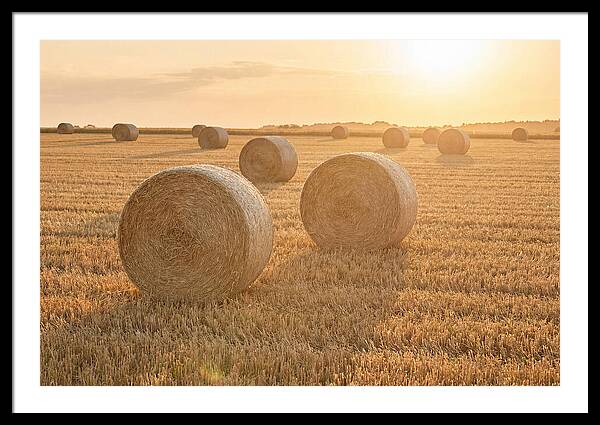Hay Bales At Sunset