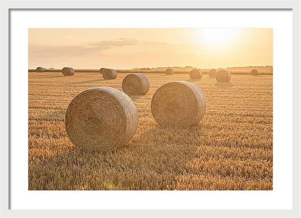 Hay Bales At Sunset