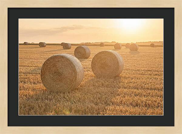 Hay Bales At Sunset