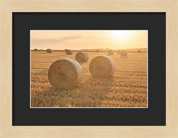 Hay Bales At Sunset