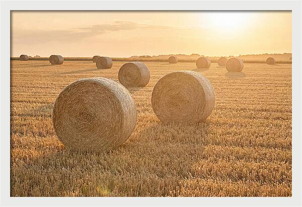 Hay Bales At Sunset