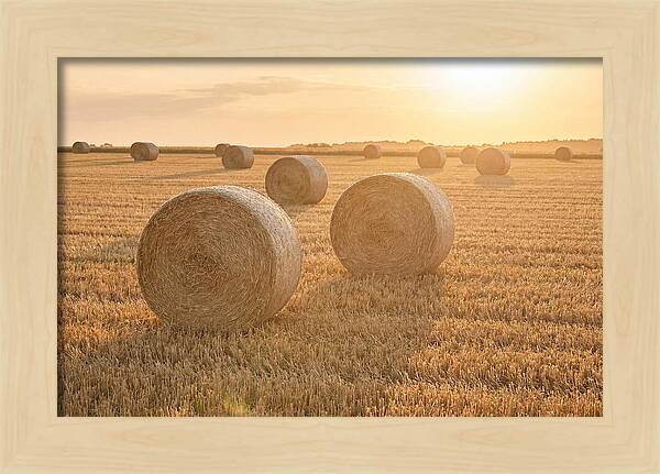Hay Bales At Sunset
