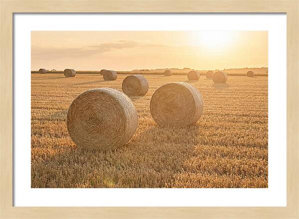 Hay Bales At Sunset