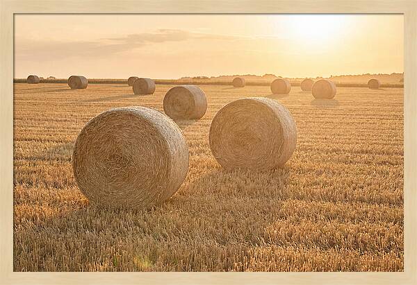 Hay Bales At Sunset