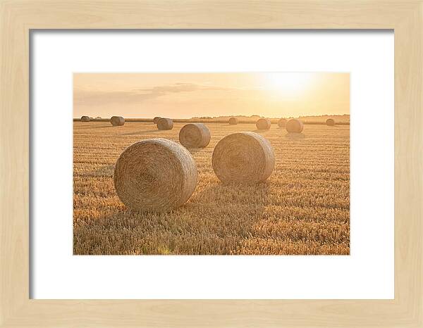 Hay Bales At Sunset