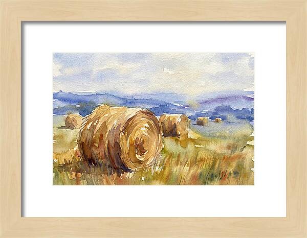 Hay Bales In Serene Landscape