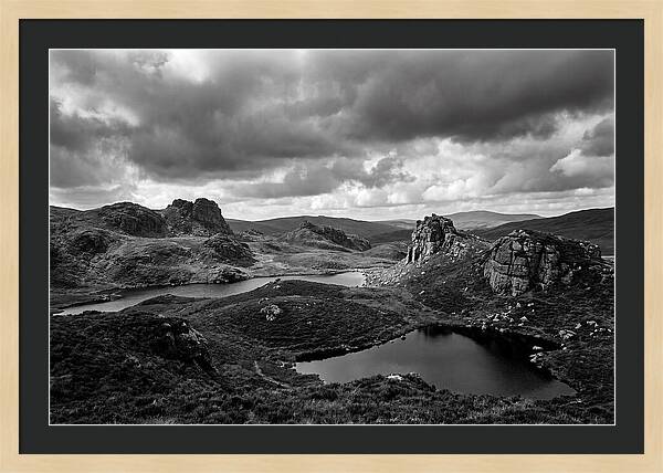 Haytor Rocks Moorland Vista